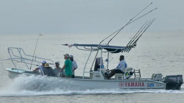 Tortugas 26 - Pesca de Estero - Image 2