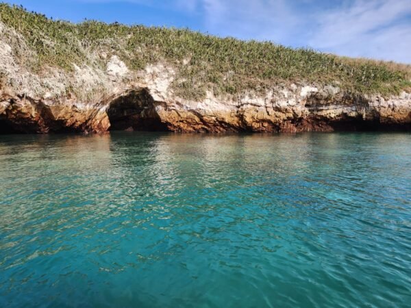 Tunahawk 29 - Farallon Island - Image 3