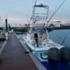 Tunahawk 29 - Paseo Costero - Image 4