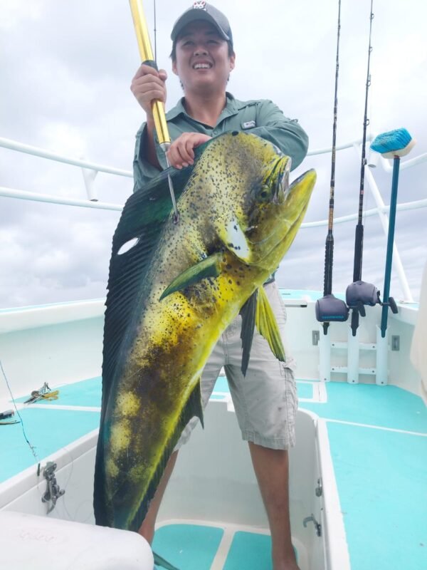 Tunahawk 29 - Pro Fishing - Image 7