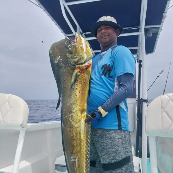 Tunahawk 29 - Pro Fishing - Image 3